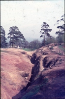 engine vein